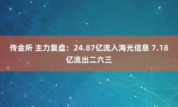 传金所 主力复盘：24.87亿流入海光信息 7.18亿流出二六三