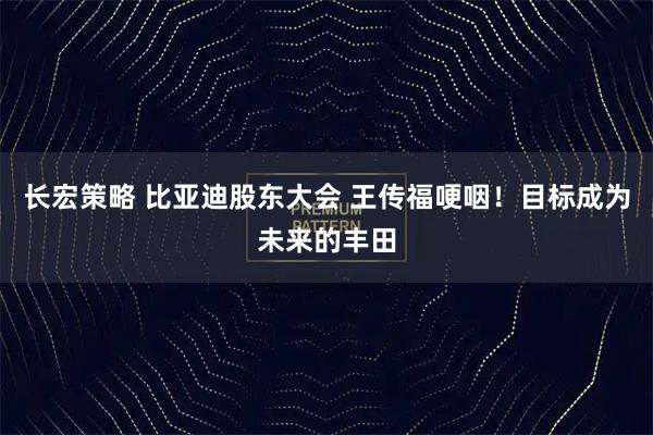 长宏策略 比亚迪股东大会 王传福哽咽！目标成为未来的丰田
