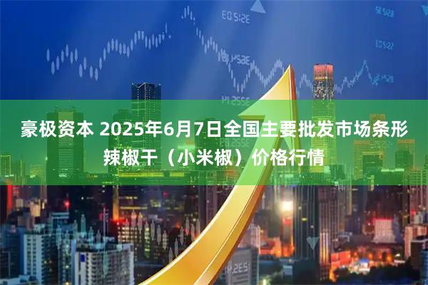 豪极资本 2025年6月7日全国主要批发市场条形辣椒干（小米椒）价格行情