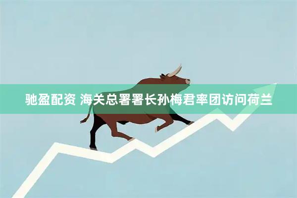 驰盈配资 海关总署署长孙梅君率团访问荷兰