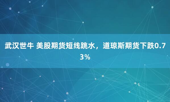 武汉世牛 美股期货短线跳水，道琼斯期货下跌0.73%